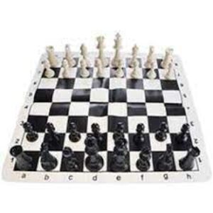 شطرنج فدراسیونی معمولی آیدین