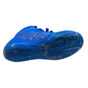 کفش کشتی درجه یک طرح اسیکس